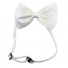 Bow Tie White Bow Tie White