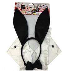 Playboy Bunny Set Playboy Bunny Set